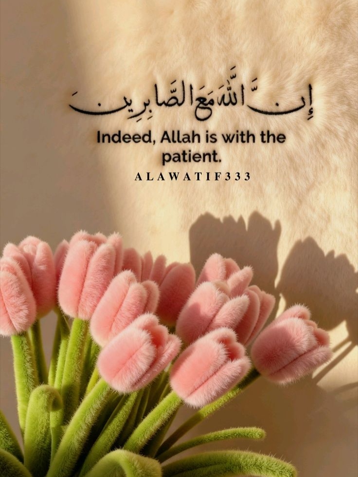 طبيعة هادئة